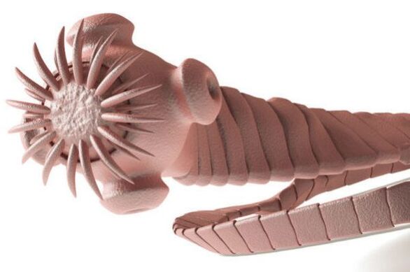 παράσιτο από το ανθρώπινο σώμα